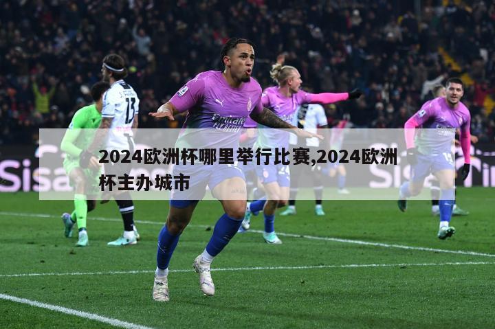 2024欧洲杯哪里举行比赛,2024欧洲杯主办城市