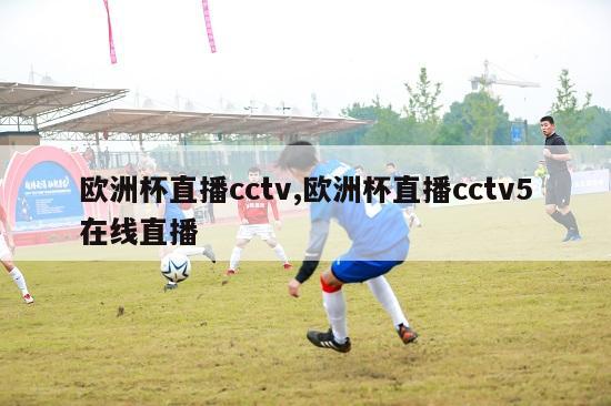 欧洲杯直播cctv,欧洲杯直播cctv5在线直播