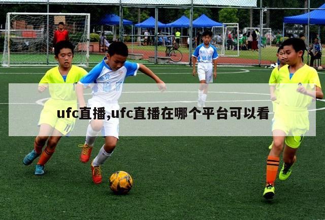 ufc直播,ufc直播在哪个平台可以看