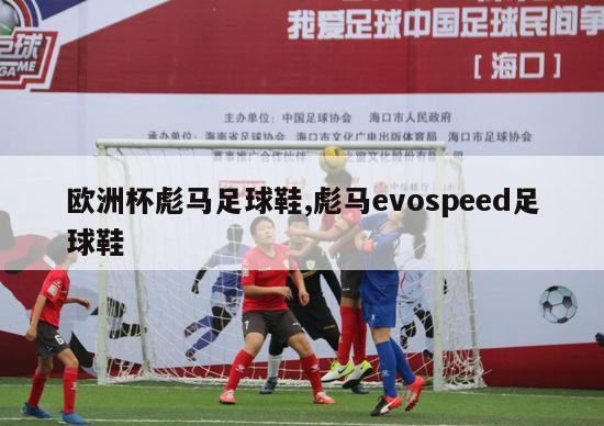 欧洲杯彪马足球鞋,彪马evospeed足球鞋