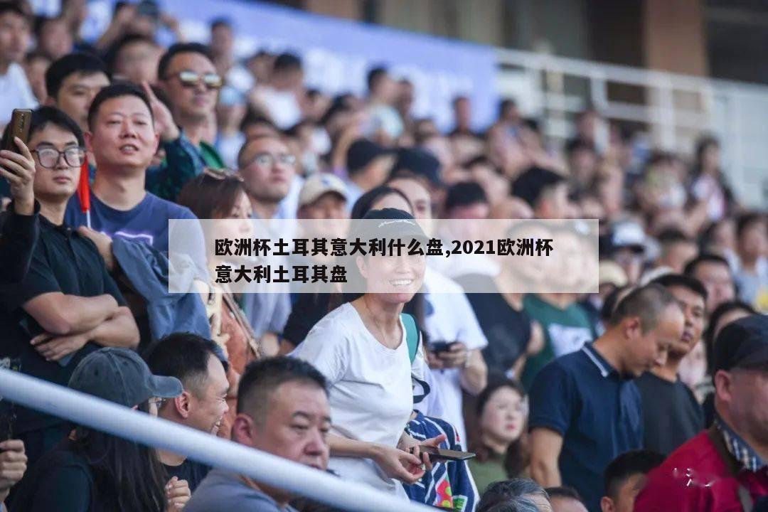 欧洲杯土耳其意大利什么盘,2021欧洲杯意大利土耳其盘