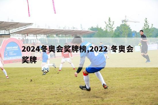 2024冬奥会奖牌榜,2022 冬奥会 奖牌