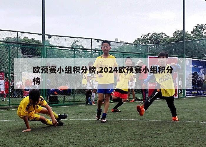 欧预赛小组积分榜,2024欧预赛小组积分榜