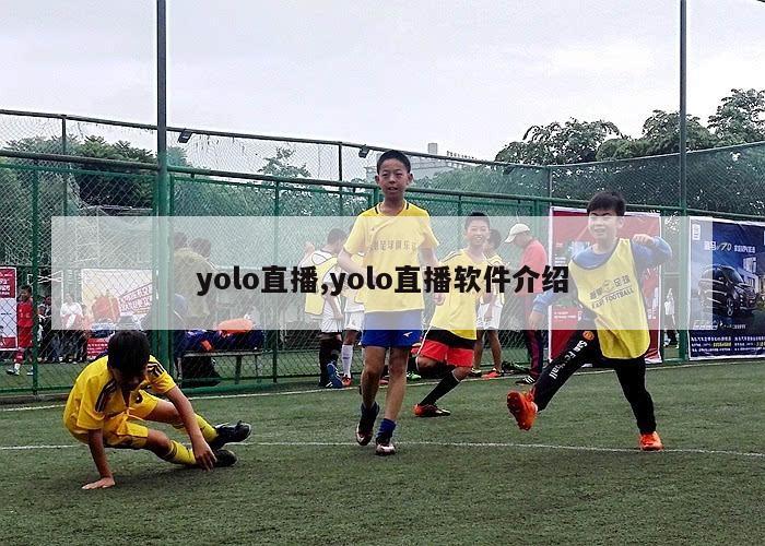 yolo直播,yolo直播软件介绍